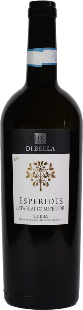 2025 Catarratto Superiore Sicilia Doc reflection