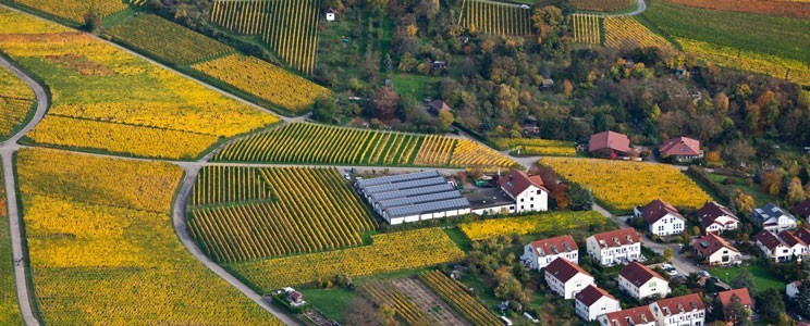 Albrecht-Kiessling