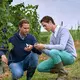 Weingut Thörle