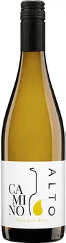 Sauvignon Blanc Eco BIO