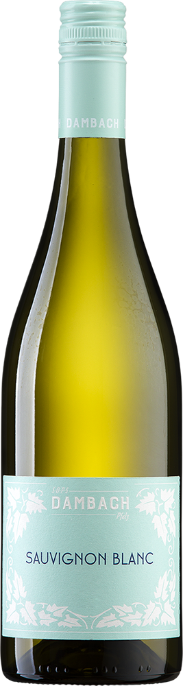 2025 Sauvignon Blanc BIO