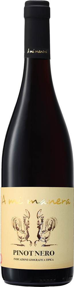 Pinot Nero Veneto IGP