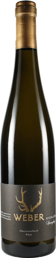 2022 Riesling Springberg Zehnender