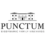 Dominio de Punctum