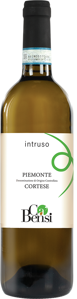 2025 Intruso Cortese Piemonte DOC
