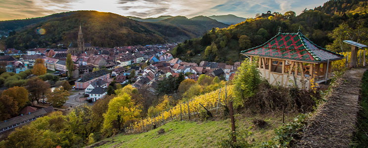 Domaine Schnebelen