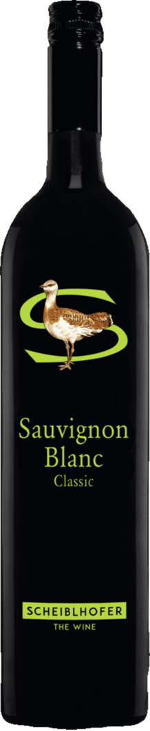 2024 Scheiblhofer Classic Sauvignon Blanc