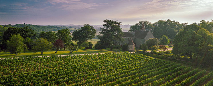 Château Puygueraud
