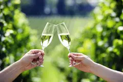 banner_Prosecco