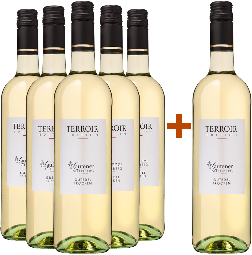 5+1 Paket Gutedel trocken