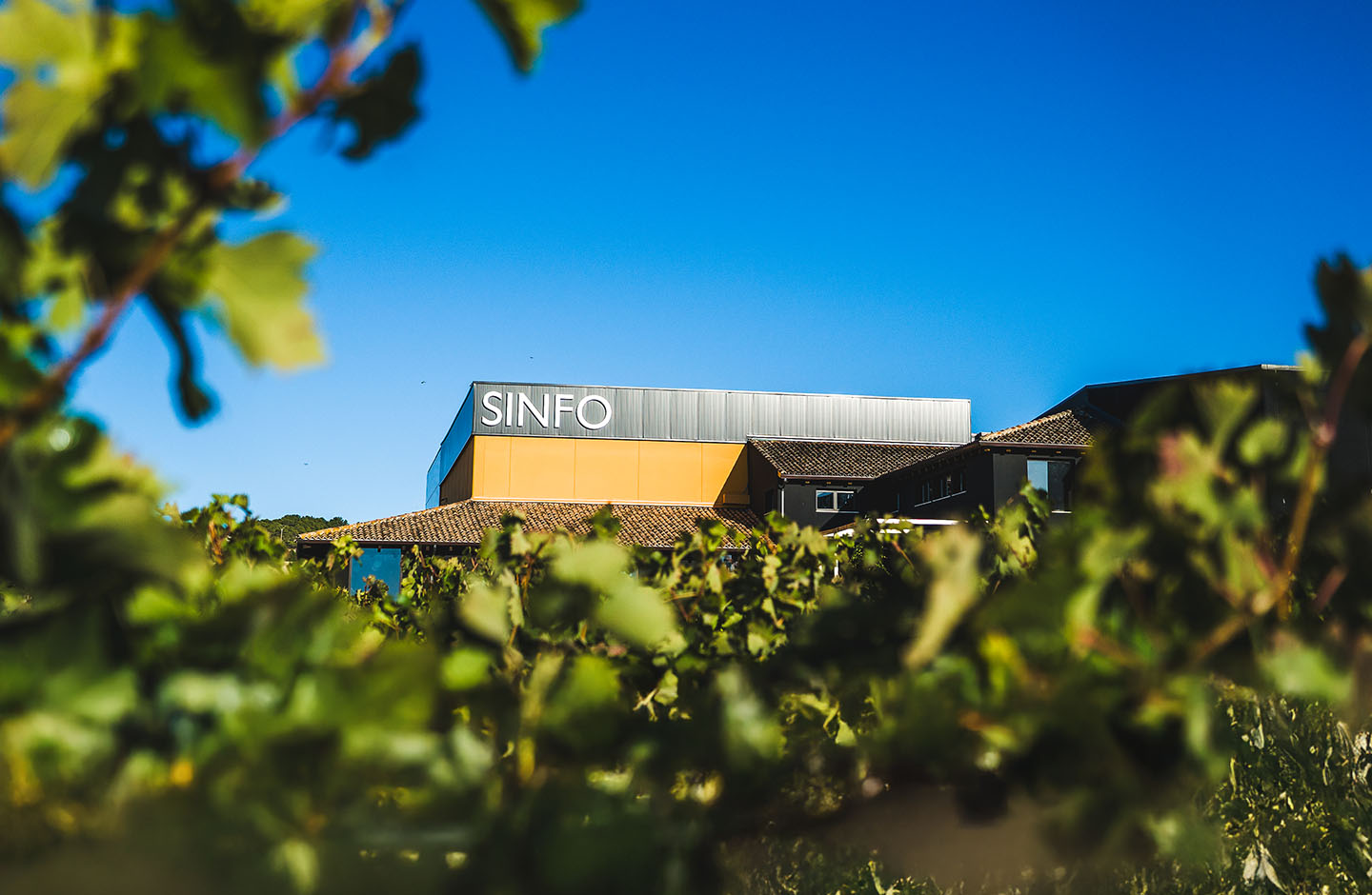 Sinforiano