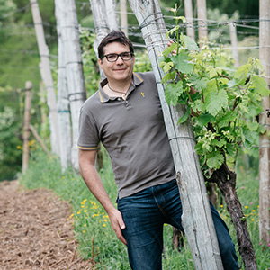 Massimo Collavo