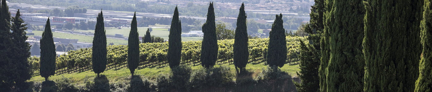 Grumello