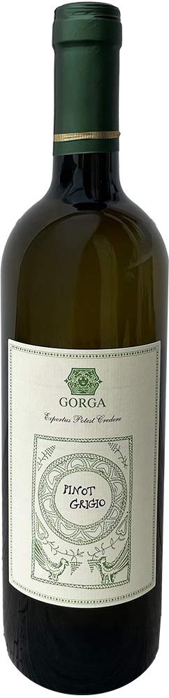 2023 Pinot Grigio Vigneti delle Dolomiti IGP