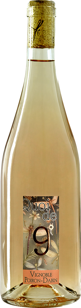2024 Cuvée "Quoi de 9°" Val de Loire IGP