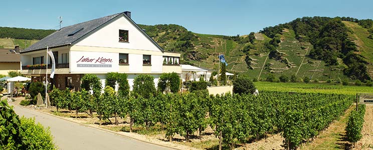 Fio Wein GmbH