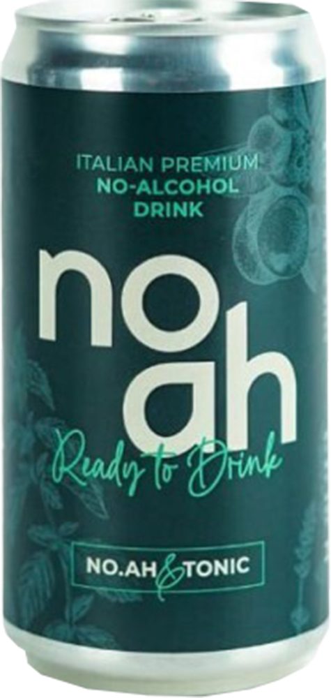 Noah 0,25 L reflection
