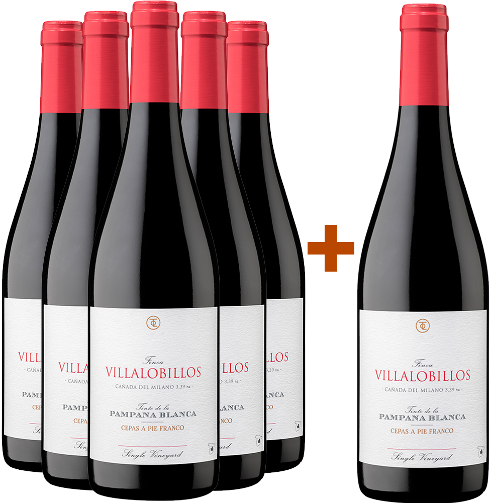 Aktionspaket 5+1 Finca Villalobillos Tinto Pampana Blanca Castilla VT