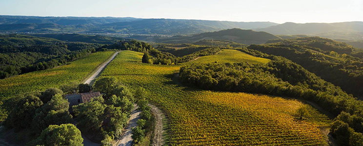 Tenuta Vitalonga