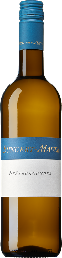 2024 Blanc de Noir Spätburgunder reflection