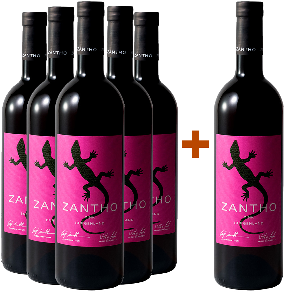 5+1 Paket Pink
