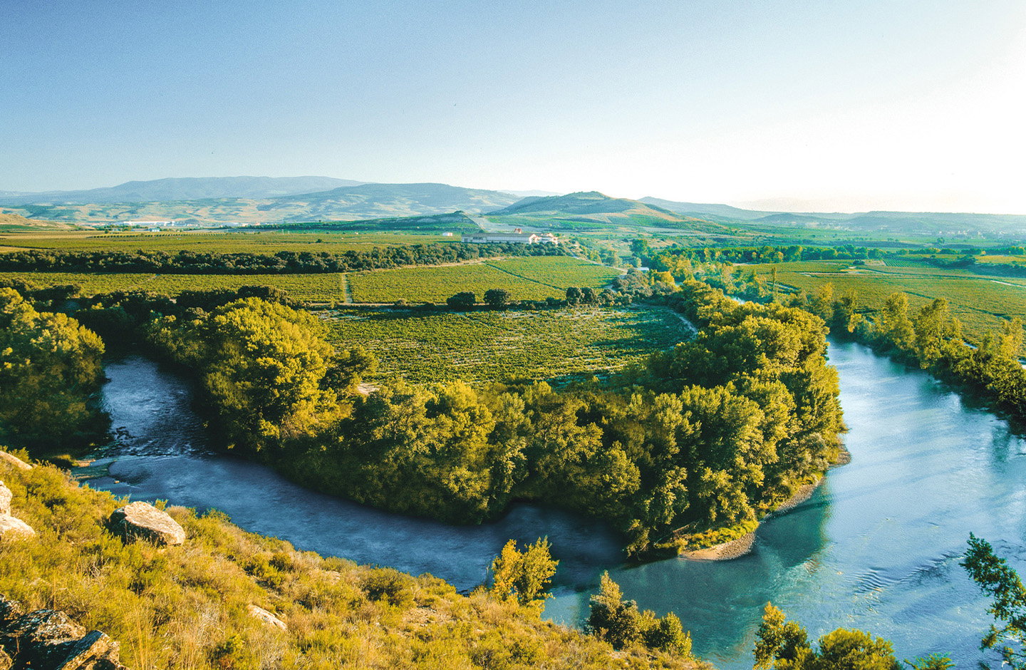 Finca Valpiedra