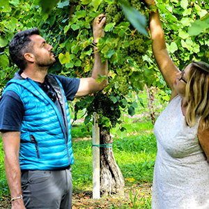 Anna Maria Spinato & Co.