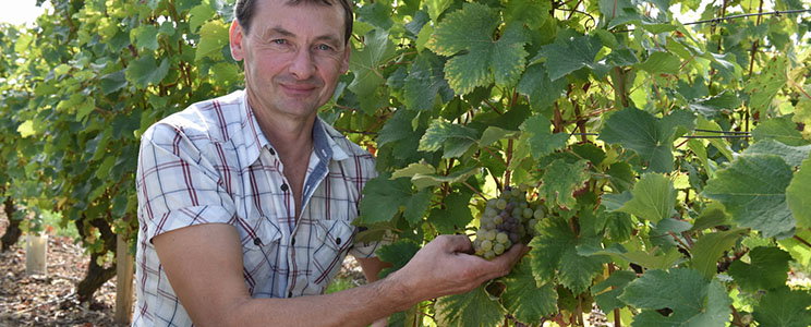 Sylvain Gaudron