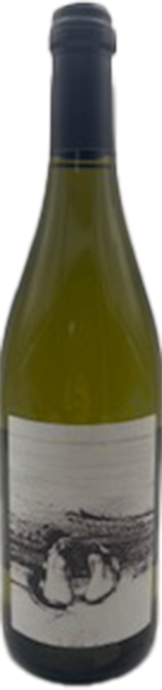 2023 Chardonnay