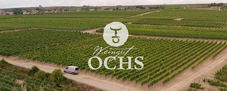 Ochs