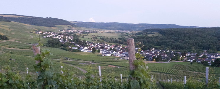 Schnitzler