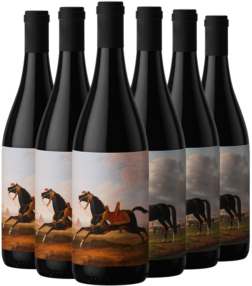 AllBlack Wines Probierpaket