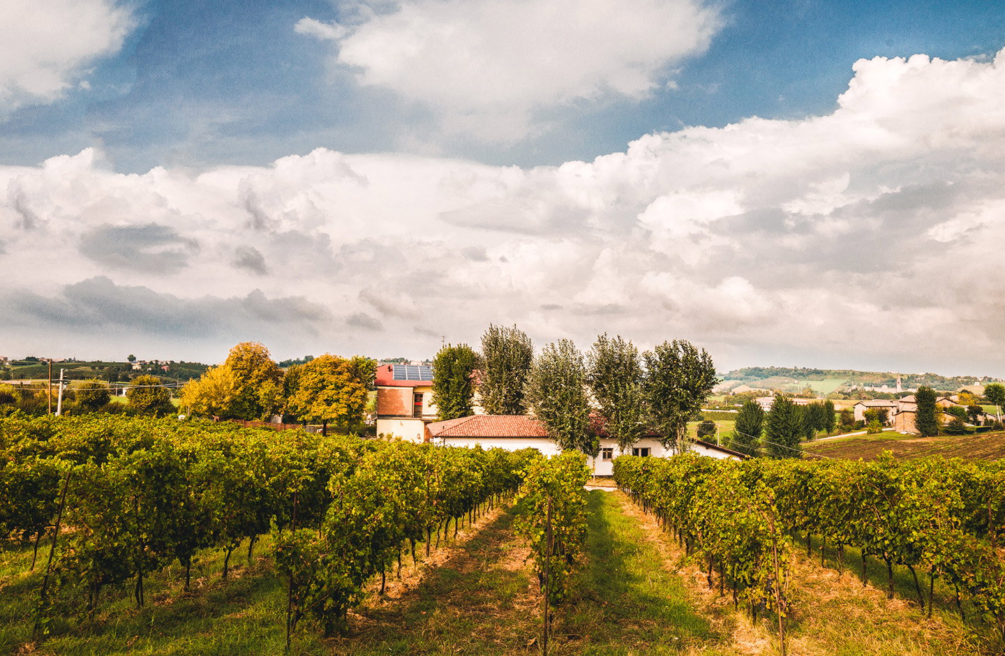 Fattoria Moretto