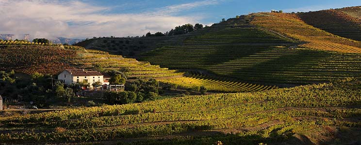 Gran Clos del Priorat