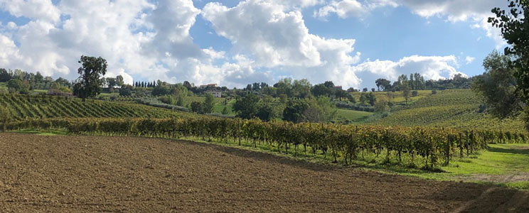 Col Di Corte