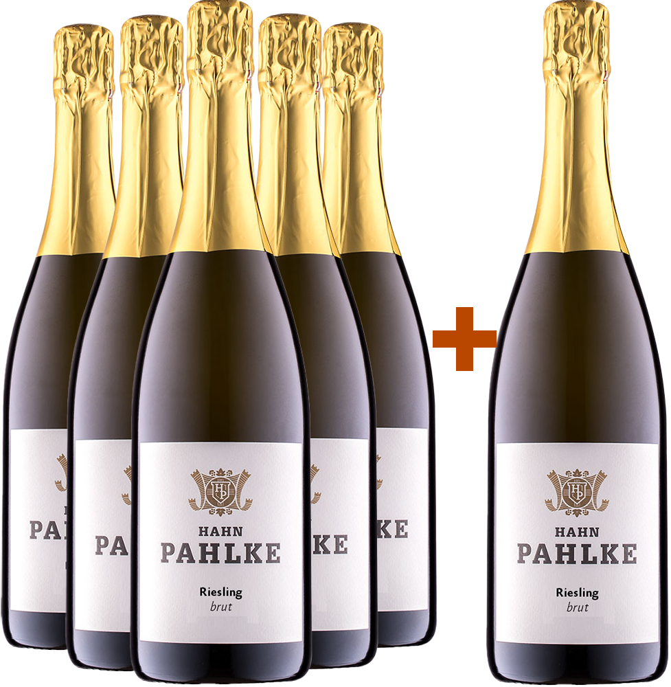 5+1 Paket Riesling Sekt BIO BIO