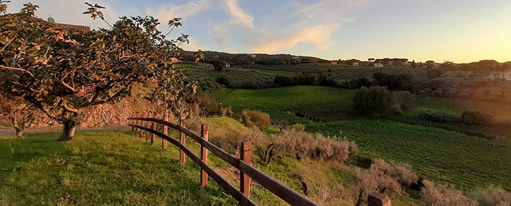 L’Olivella