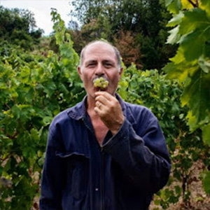 Gerardo Pascale