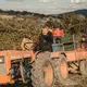 Tenuta Vitagliano
