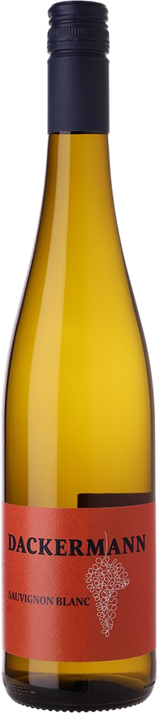 2025 Sauvignon Blanc