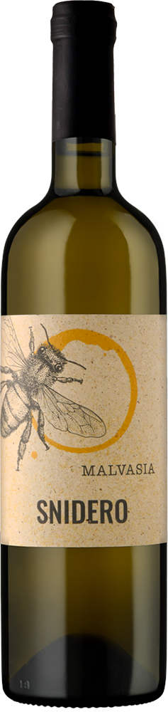 2024 Malvasia DOC BIO