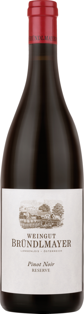 2020 Bründlmayer Pinot Noir Reserve reflection