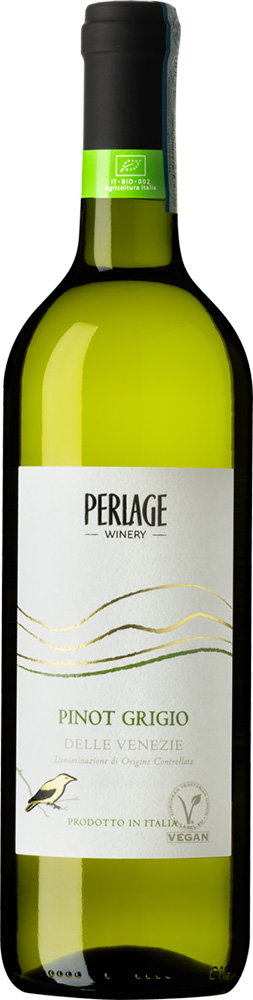 2024 Pinot Grigio delle Venezie DOC BIO