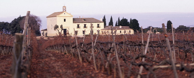 Marqués de Griñón