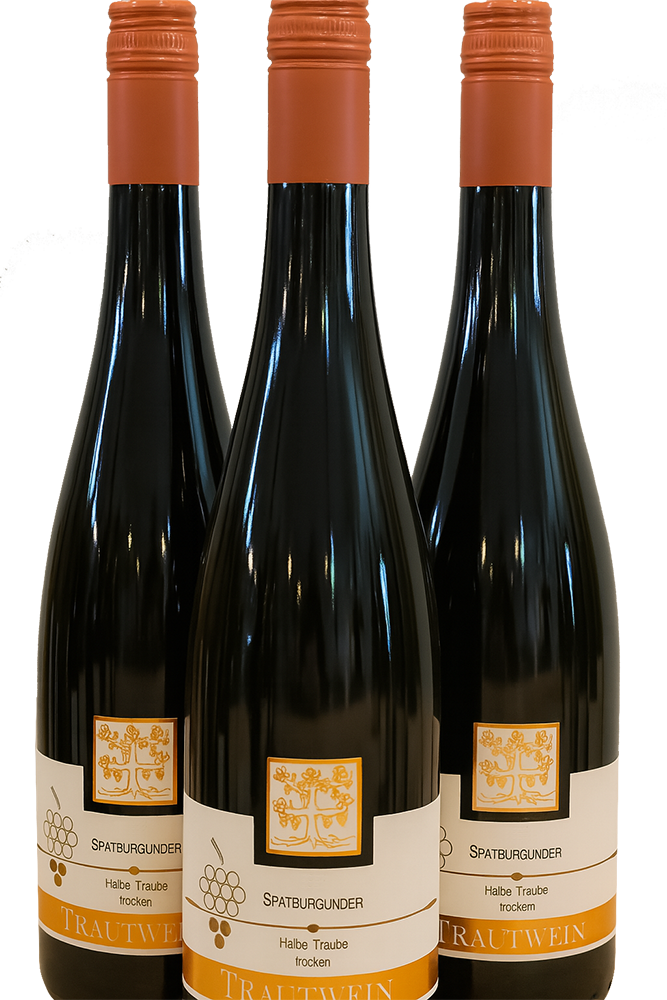 2022 Spätburgunder -halbe Traube- Rotwein