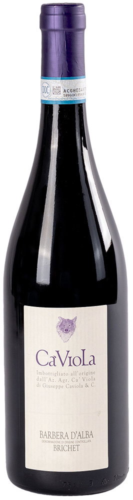 2025 Barbera "Brichet" Alba DOC