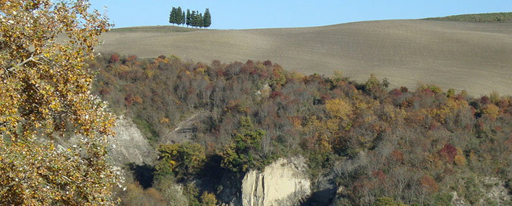 Berni Valentino