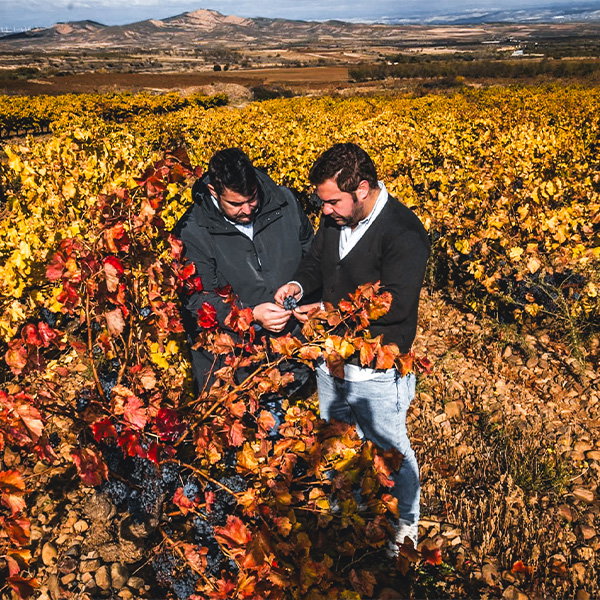 Javier & Álvaro Usarralde