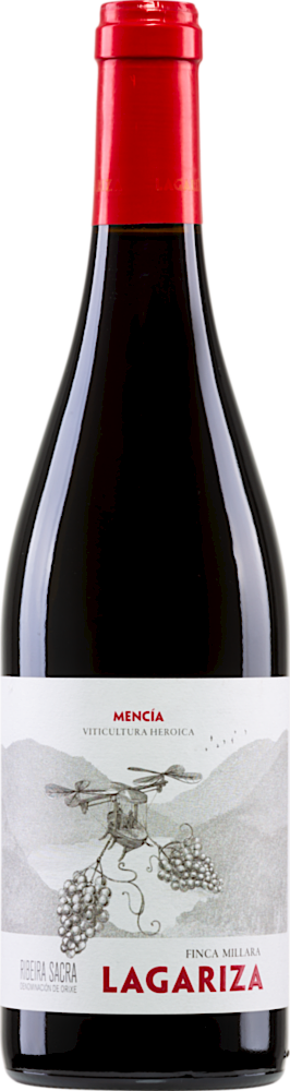 2021 Lagariza Ribeira Sacra DO reflection