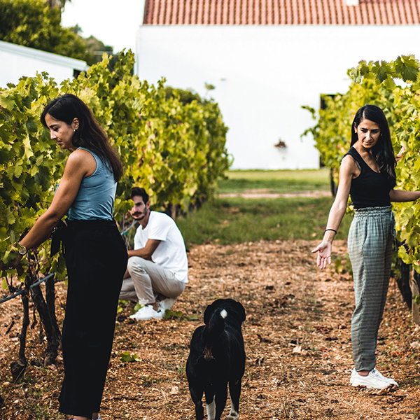 Famiglia Saccu